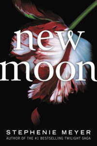 Image of New Moon