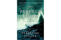 Image of The Perfect Storm