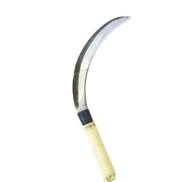 File:Panggapas.jpeg